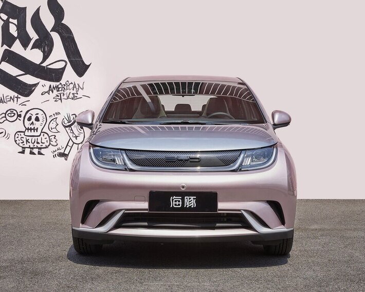 2022 BYD Dolphin EV