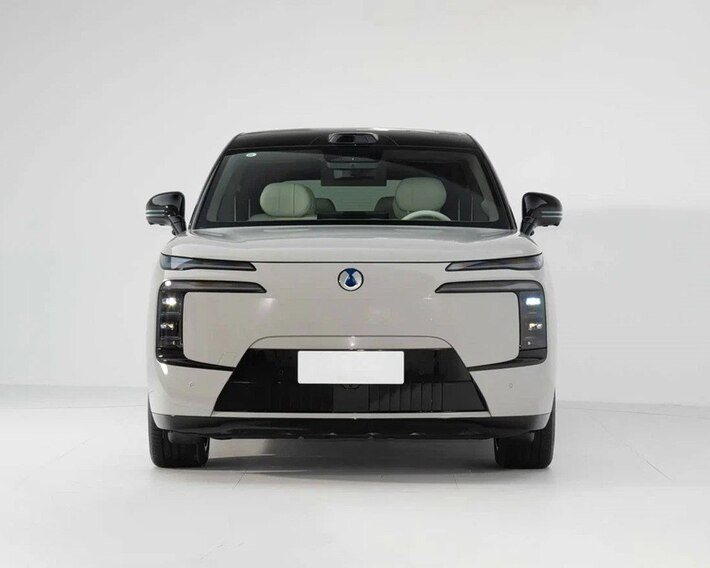 Denza N8 large SUV