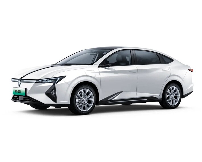 Lingxi L
