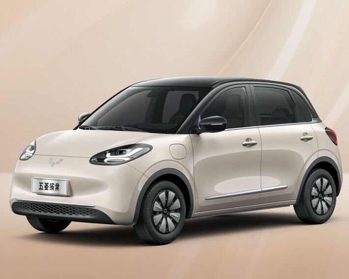 Wuling Bingo