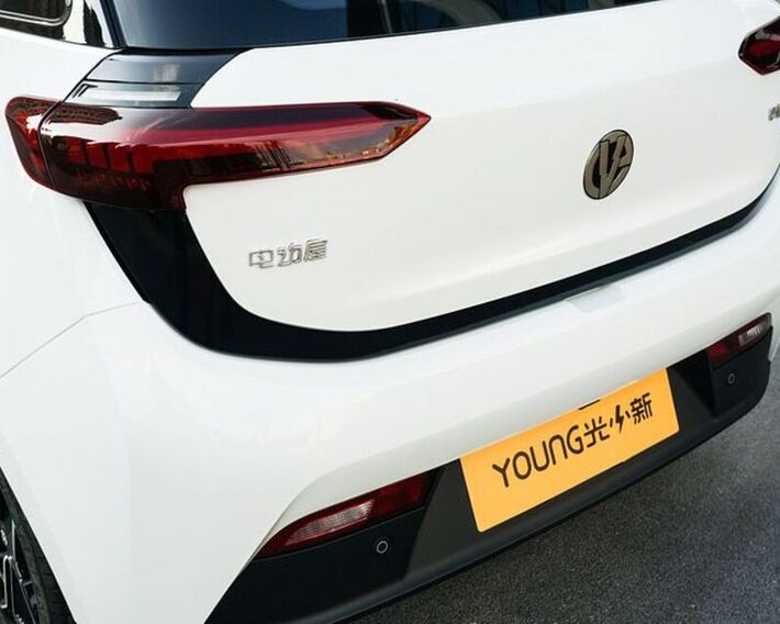 Young L400
