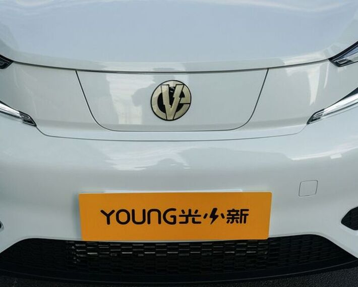 Young L400