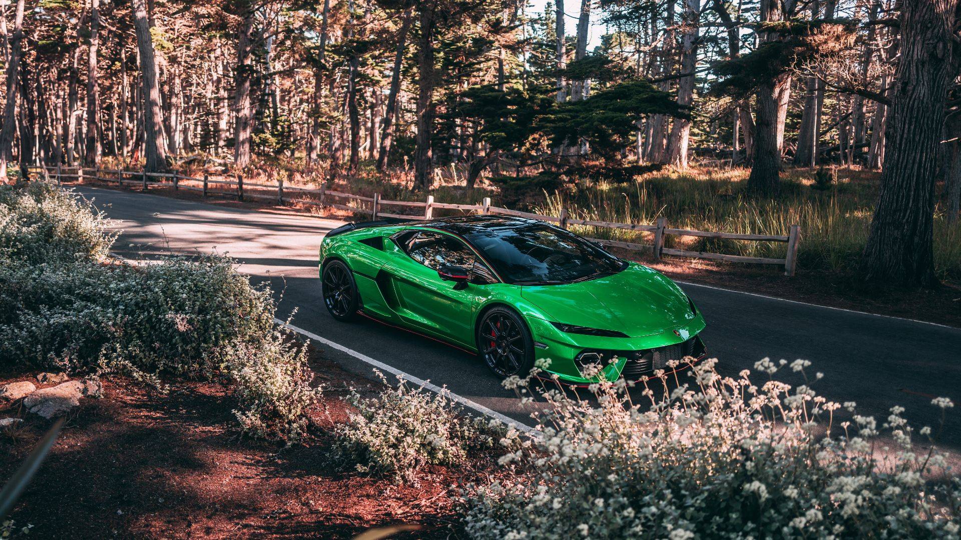 Lamborghini Temerario Side Profile Design