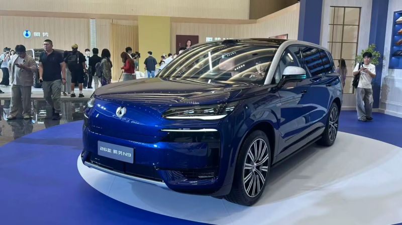 BYD Denza N9 Exterior Side View